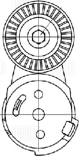 Trialli CM 5758 - Натяжитель, поликлиновый ремень unicars.by