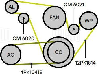 Trialli CM 6020 - Натяжитель, поликлиновый ремень unicars.by