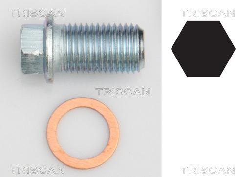 Triscan 9500 1012 - Резьбовая пробка, масляный поддон unicars.by