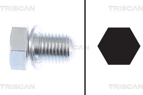 Triscan 9500 2903-400 - Резьбовая пробка, масляный поддон unicars.by