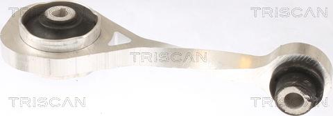 Triscan 8505 10111 - Подушка, опора, подвеска двигателя unicars.by