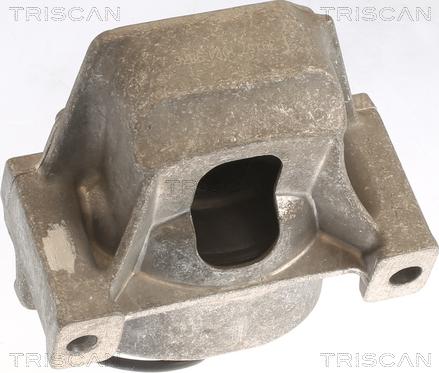 Triscan 8505 29196 - Подушка, опора, подвеска двигателя unicars.by