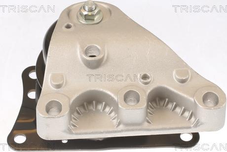 Triscan 8505 29110 - Подушка, опора, подвеска двигателя unicars.by