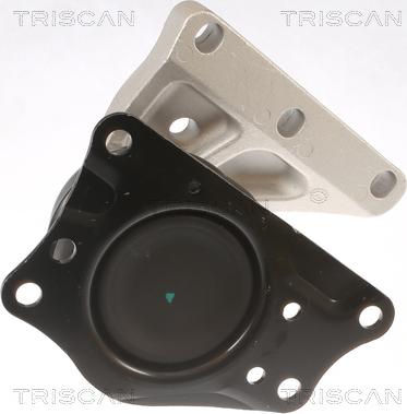 Triscan 8505 29110 - Подушка, опора, подвеска двигателя unicars.by