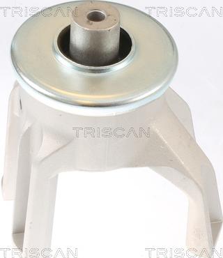 Triscan 8505 29187 - Подушка, опора, подвеска двигателя unicars.by