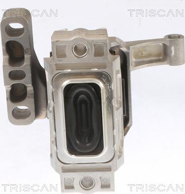 Triscan 8505 29134 - Подушка, опора, подвеска двигателя unicars.by