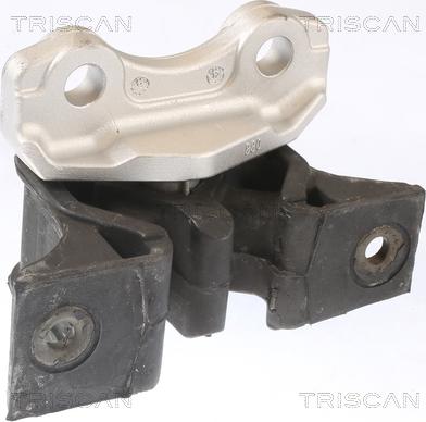 Triscan 8505 24106 - Подушка, опора, подвеска двигателя unicars.by