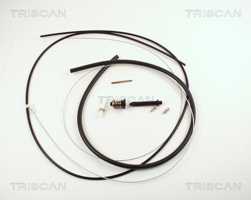 Triscan 8140 25315 - Тросик газа unicars.by