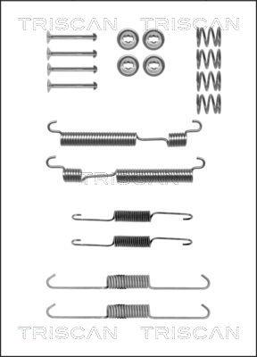 Triscan 8105 432001 - Комплектующие, барабанный тормозной механизм unicars.by