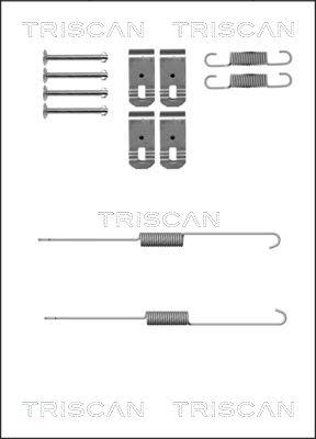 Triscan 8105 422589 - Комплектующие, барабанный тормозной механизм unicars.by