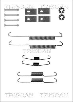 Triscan 8105 692002 - Комплектующие, барабанный тормозной механизм unicars.by