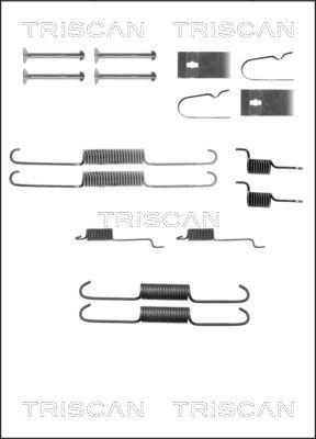 Triscan 8105 142564 - Комплектующие, барабанный тормозной механизм unicars.by