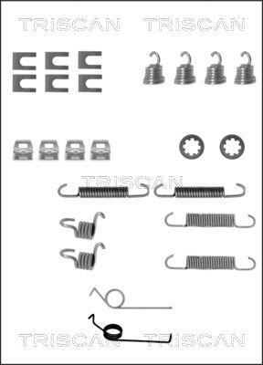 Triscan 8105 162046 - Комплектующие, барабанный тормозной механизм unicars.by