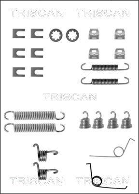 Triscan 8105 102498 - Комплектующие, барабанный тормозной механизм unicars.by