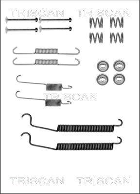 Triscan 8105 102599 - Комплектующие, барабанный тормозной механизм unicars.by