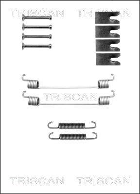 Triscan 8105 102598 - Комплектующие, барабанный тормозной механизм unicars.by