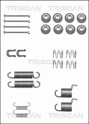 Triscan 8105 102600 - Комплектующие, барабанный тормозной механизм unicars.by