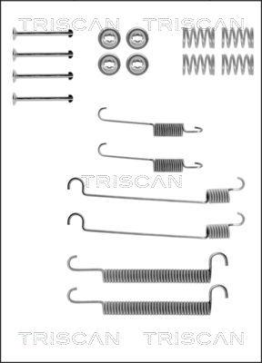 Triscan 8105 102266 - Комплектующие, барабанный тормозной механизм unicars.by