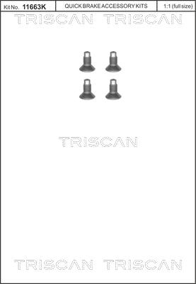 Triscan 8105 116004 - Комплект болтов, тормозной диск unicars.by