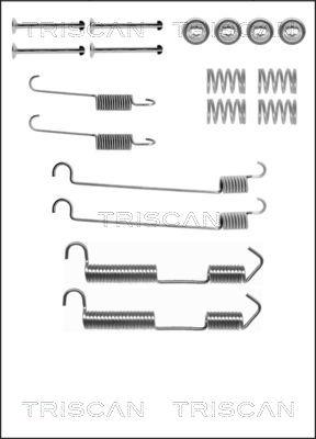 Triscan 8105 112514 - Комплектующие, барабанный тормозной механизм unicars.by