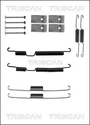 Triscan 8105 182008 - Комплектующие, барабанный тормозной механизм unicars.by