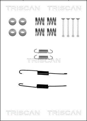 Triscan 8105 132592 - Комплектующие, барабанный тормозной механизм unicars.by