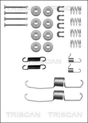 Triscan 8105 132505 - Комплектующие, барабанный тормозной механизм unicars.by