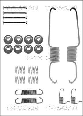 Triscan 8105 132584 - Комплектующие, барабанный тормозной механизм unicars.by