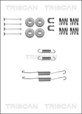 Triscan 8105 132587 - Комплектующие, барабанный тормозной механизм unicars.by