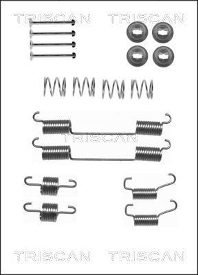 Triscan 8105 172466 - Комплектующие, барабанный тормозной механизм unicars.by