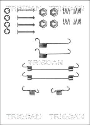 Triscan 8105 382518 - Комплектующие, барабанный тормозной механизм unicars.by