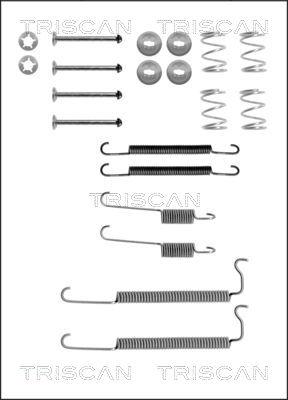 Triscan 8105 242447 - Комплектующие, барабанный тормозной механизм unicars.by