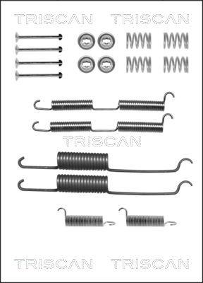 Triscan 8105 252569 - Комплектующие, барабанный тормозной механизм unicars.by