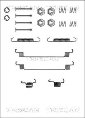 Triscan 8105 252519 - Комплектующие, барабанный тормозной механизм unicars.by