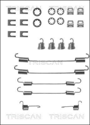 Triscan 8105 282524 - Комплектующие, барабанный тормозной механизм unicars.by