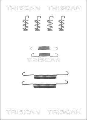 Triscan 8105 272578 - Комплектующие, стояночная тормозная система unicars.by