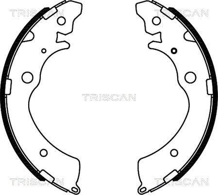 Triscan 8100 40508 - Комплект тормозных колодок, барабанные unicars.by