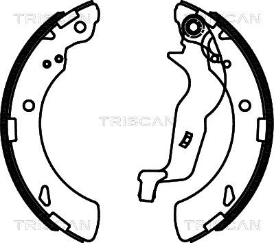 Triscan 8100 40010 - Комплект тормозных колодок, барабанные unicars.by