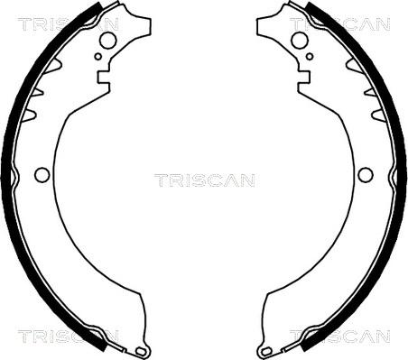 Triscan 8100 41419 - Комплект тормозных колодок, барабанные unicars.by