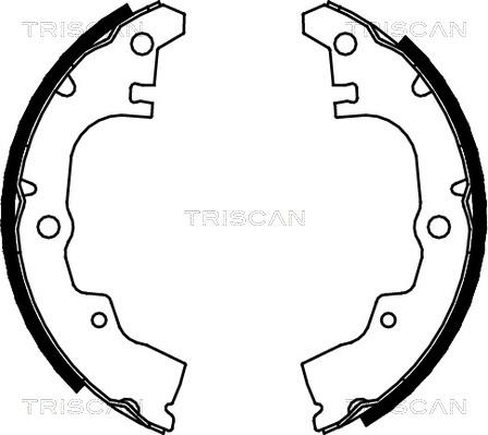 Triscan 8100 41414 - Комплект тормозных колодок, барабанные unicars.by