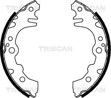 Triscan 8100 41619 - Комплект тормозных колодок, барабанные unicars.by