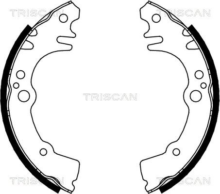 Triscan 8100 41616 - Комплект тормозных колодок, барабанные unicars.by