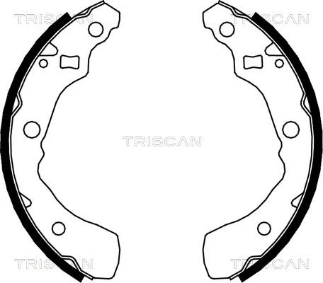 Triscan 8100 41618 - Комплект тормозных колодок, барабанные unicars.by