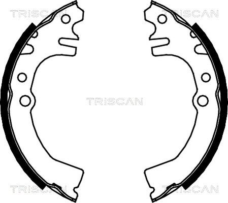 Triscan 8100 41613 - Комплект тормозных колодок, барабанные unicars.by