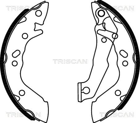 Triscan 8100 43560 - Комплект тормозных колодок, барабанные unicars.by