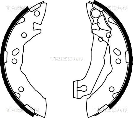 Triscan 8100 43621 - Комплект тормозных колодок, барабанные unicars.by