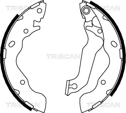 Triscan 8100 43013 - Комплект тормозных колодок, барабанные unicars.by