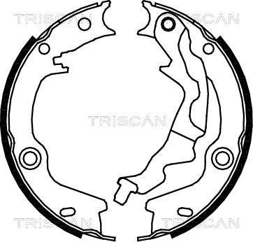 Triscan 8100 43023 - Комплект тормозов, ручник, парковка unicars.by