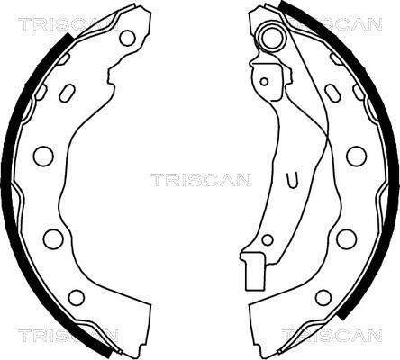 Triscan 8100 42628 - Комплект тормозных колодок, барабанные unicars.by