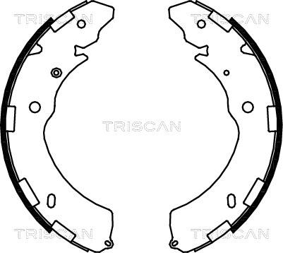 Triscan 8100 42021 - Комплект тормозных колодок, барабанные unicars.by